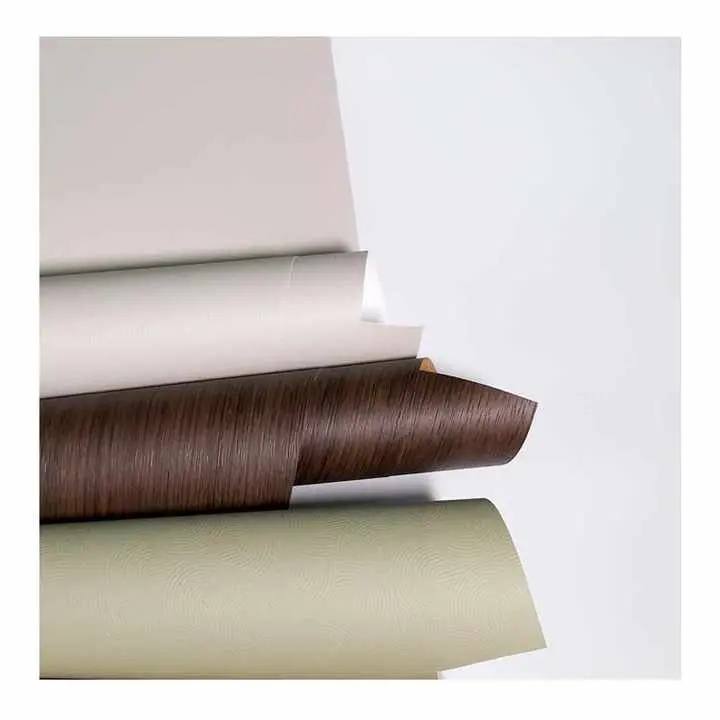 Whyima Fîlma Mala PP-ê ji bo xaniyên nûjen bijartinek aqilmend e?